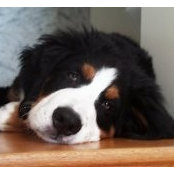 Ann Lee Fuller's photo