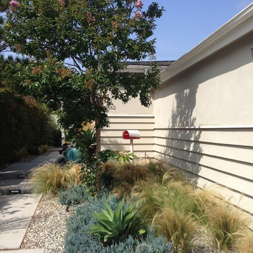 Contemporary Front Entry