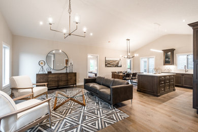 Inspiration for a contemporary living room remodel in Toronto