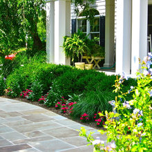 foundation planting ideas