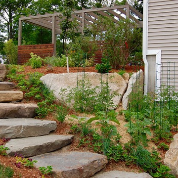 Edible Garden Transformation - Social Space