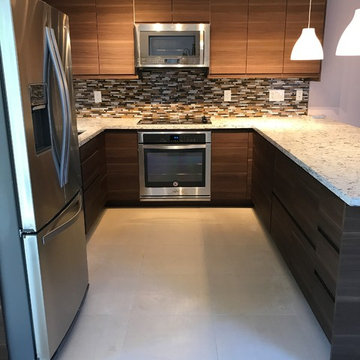 Kitchen Remodel/Renovation