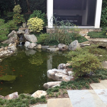 Doren's Zen Garden