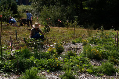 Wellesley College - Ecosystem Teaching Garden