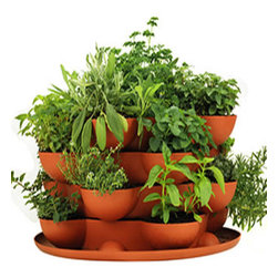 Terracotta Herb Garden Stackable Planter - Indoor Pots And Planters