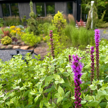Liatris and mountain mint
