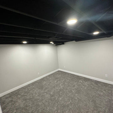 Basement Finishing With Bathroom Add-On