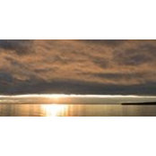 Elizabeth Murphy's photo