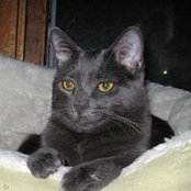 Chuck Smith's photo