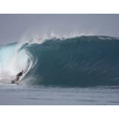 Jason Cox's photo