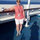 joyce_tealfavier