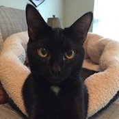 Mary Brooks's photo