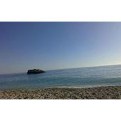 Bledar Jani's photo