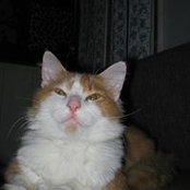 Annemieke de Groot's photo