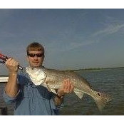 Gary Williams's photo