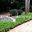 Rios Landscaping