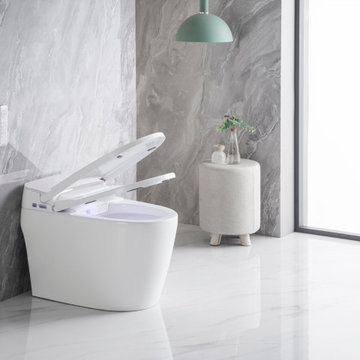 PL-12230 - Smart Toilet