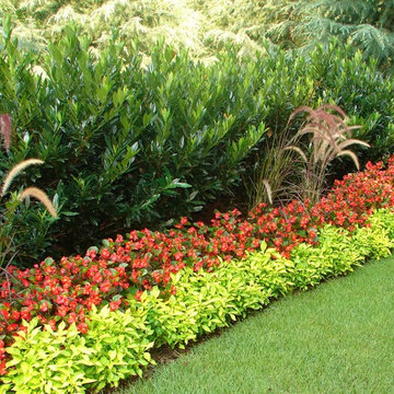 The Joy of Plants!