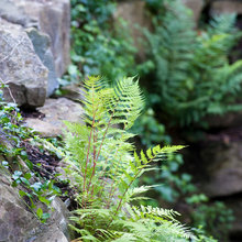 Grotto garden