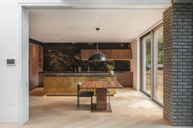 Inspiration for a modern kitchen in London.