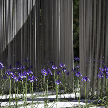 fence ideas