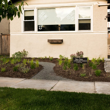 Landscape Design