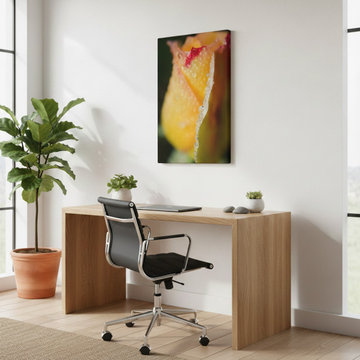 Dew on Yellow Rose Modern Organic Style Wall Art