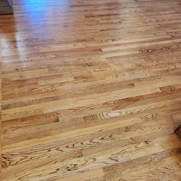 Hardwood Refinish