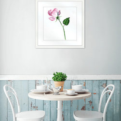 Flora and Fauna Collection - Framed Art Prints (FAUN06) - Artwork