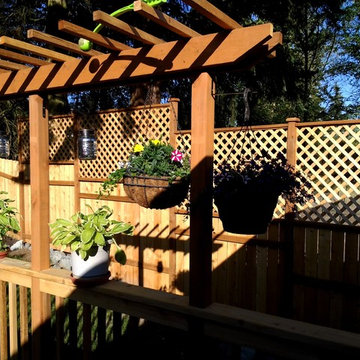 Trellis and hanging plants