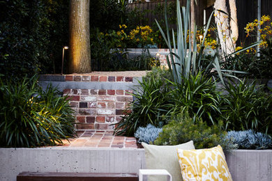 Design ideas for an australian native contemporary backyard xeriscape for spring in Sydney with brick pavers.