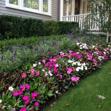 Beacon Hill Bliss