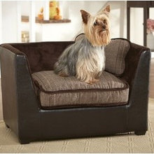 Pooch Style