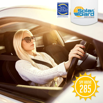 Automotive Window Tints