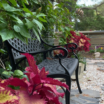 Front yard landscape