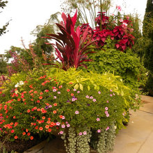 Tropical Landscaping