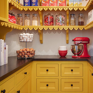 Klassische Küche mit Vorratsschrank, Schrankfronten im Shaker-Stil und gelben Schränken in Minneapolis