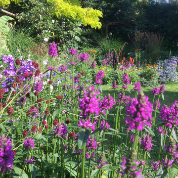 Flower-filled garden