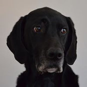 Bjoern Roth's photo