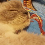 Julie Perata's photo