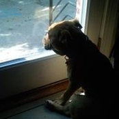 Matt Sovesky's photo