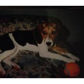 Eileen Ray's photo