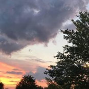 Summer Hamilton's photo
