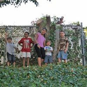 Ellen Reithmayr's photo