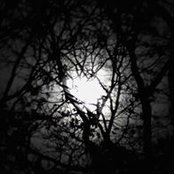 Claudia Vesey's photo