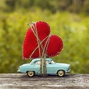 Aura Gersenson's photo