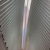 Adam Tranka's photo