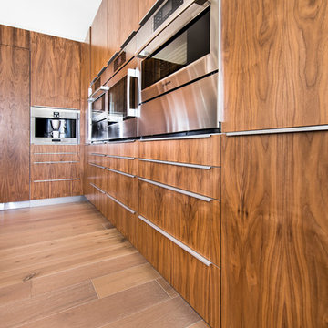 Flat Panel Walnut with Matte Acrylic custom IKEA kitchen