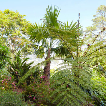 San Francisco Cloud Forest Garden