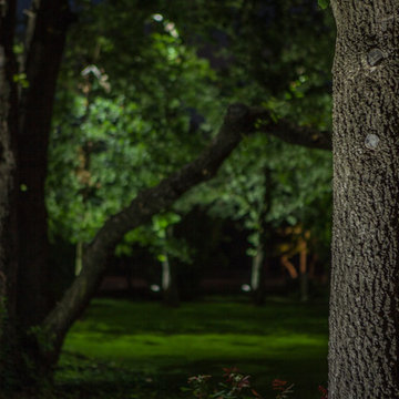 Low Voltage Up Lighting and Moon Lighting- Southlake
